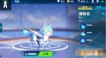 qq飞车新宠物爆料最新,神秘宠物降临!QQ飞车新宠物爆料抢先看 第1张 qq飞车新宠物爆料最新,神秘宠物降临!QQ飞车新宠物爆料抢先看 第1张